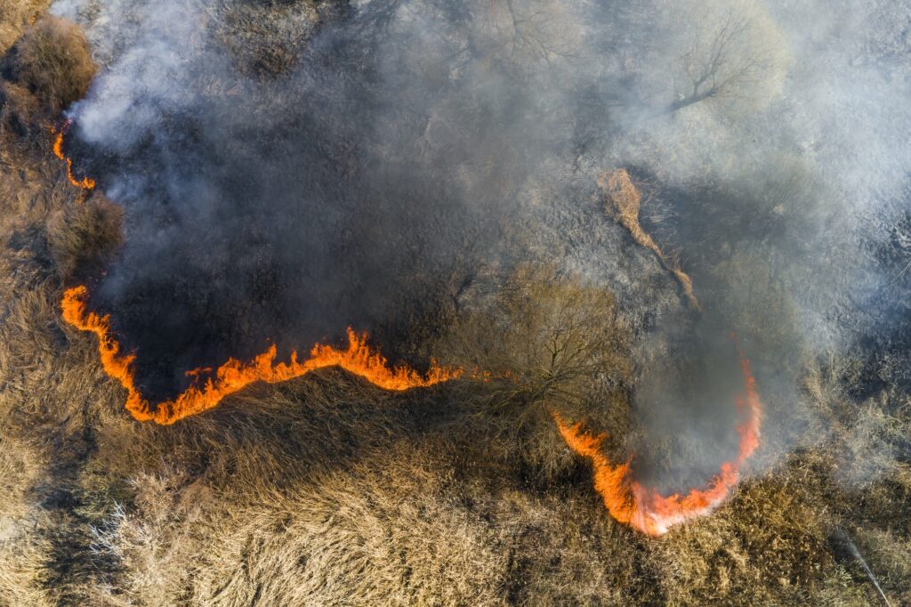 Aerial view of wildfire on the field. Huge clouds of smoke